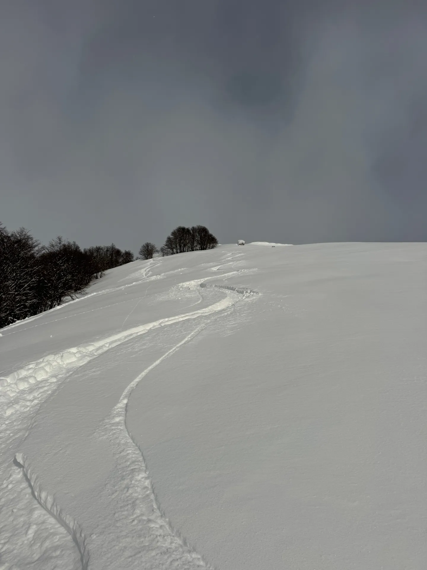 Cat Skiing
