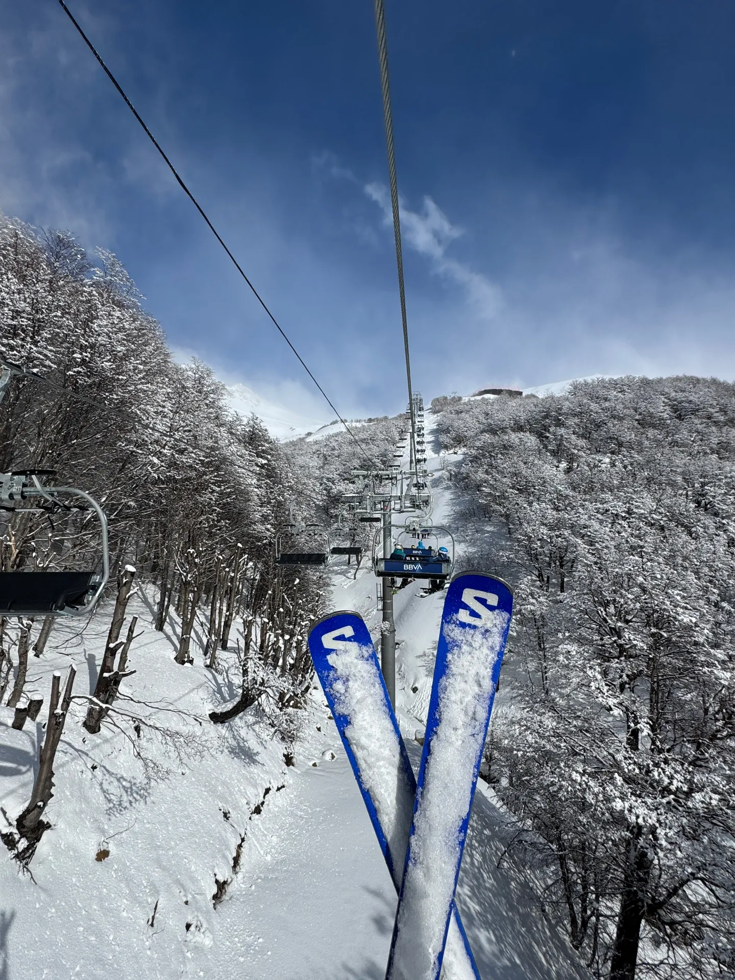 Chairlift POV through snowy lenga forest in the Andes