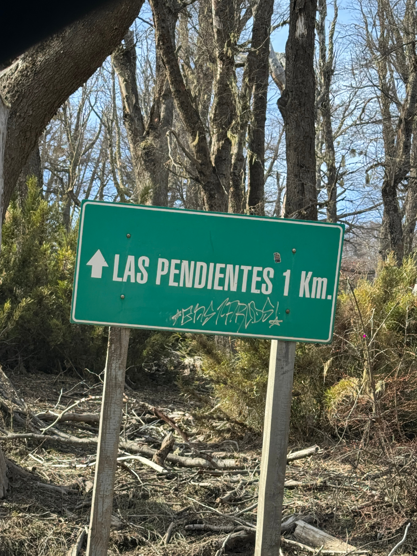 San Martín de los Andes